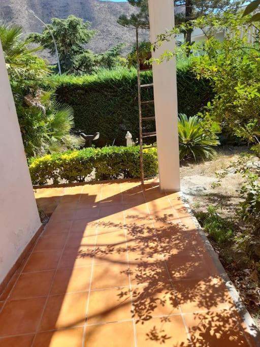 Casa Vacanza Villa Rita Мондрагоне Екстериор снимка